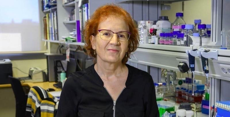  Dra. Margarita del Val - CSIC 