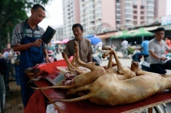  Mercado Animales Wuhan - National Geographic - AP 