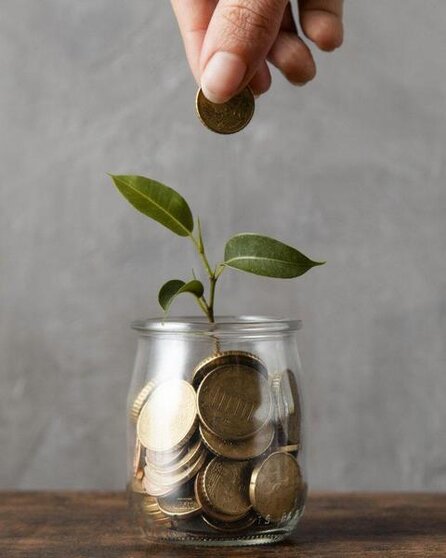  front-view-of-hand-adding-coin-to-jar-with-plant-and-other-coins 