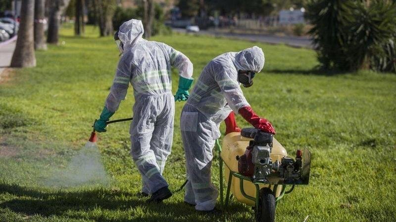  Fumigaciones en Coria - EuropaPress 