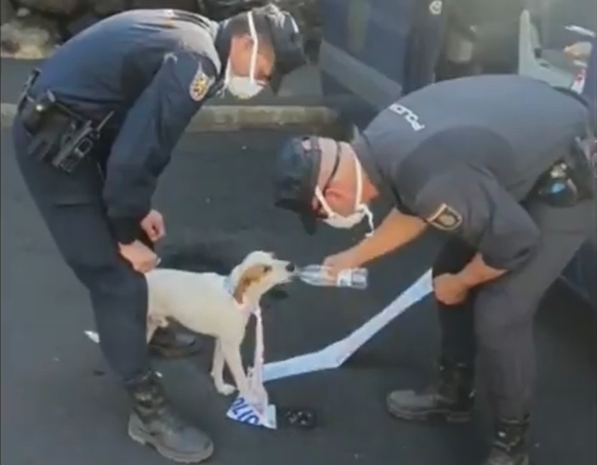 <p> Policías dando de beber al sediento animal. Fuente: Twitter </p>