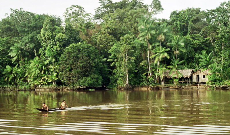 <p> Amazonas. WIKIPEDIA </p>