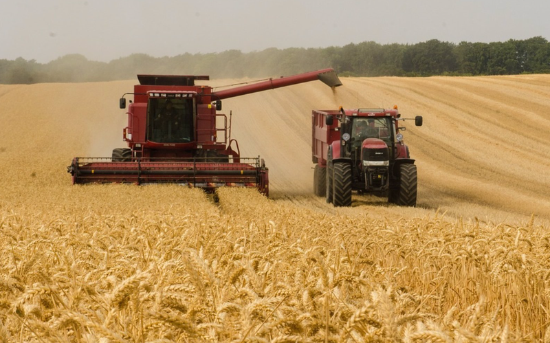 <p> Agricultor cosechando en el campo - UNIÓN DE UNIONES </p>