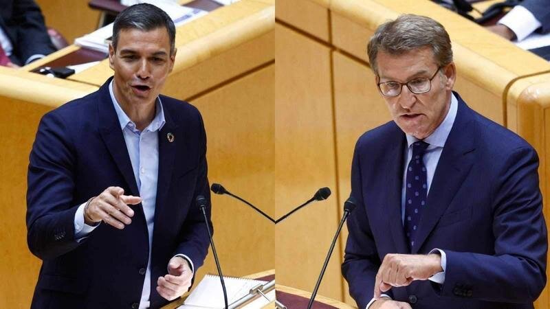 <p> Pedro Sánchez y Núñez Feijóo en el Senado </p>