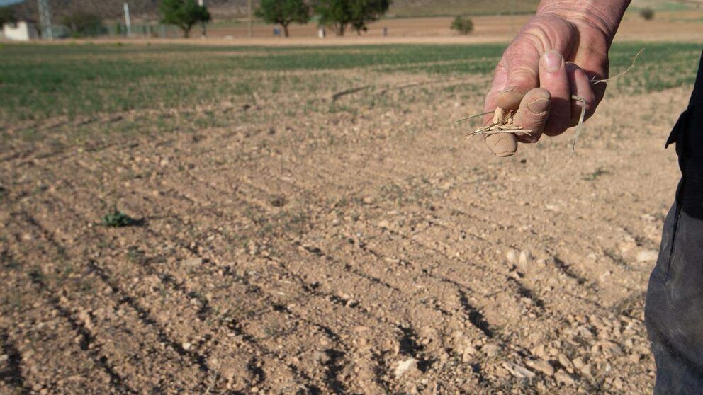  Un agricultor muestra la tierra seca en un terreno 