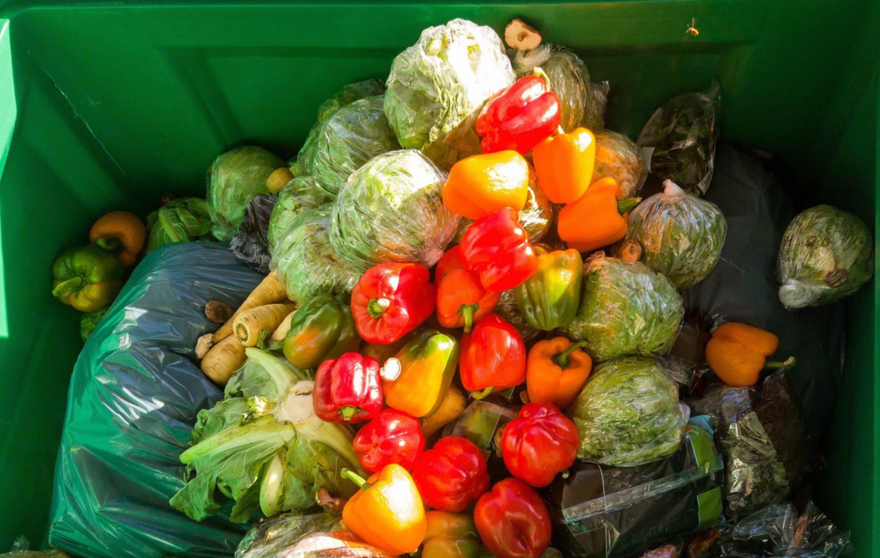  Archivo - El ciclo '(SOS)tenibiliad alimentaria' abordará la coexistencia de hambre y obesidad o el desperdicio de alimentos - FUNDACIÓN LA CAIXA - Archivo 