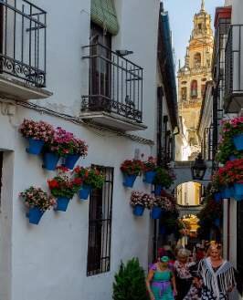  La Calleja de las Flores 