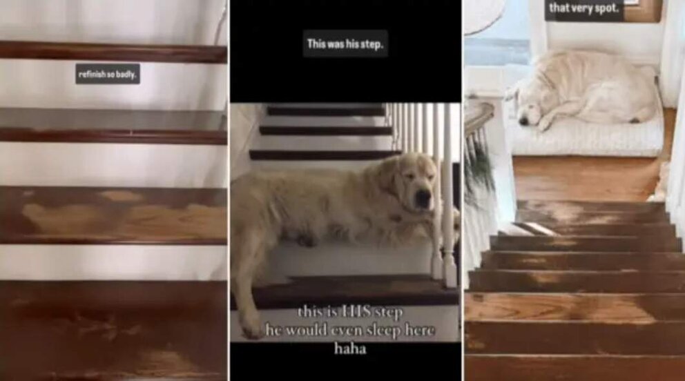  El precioso homenaje al escalón de su perro Max.INSTAGRAM 