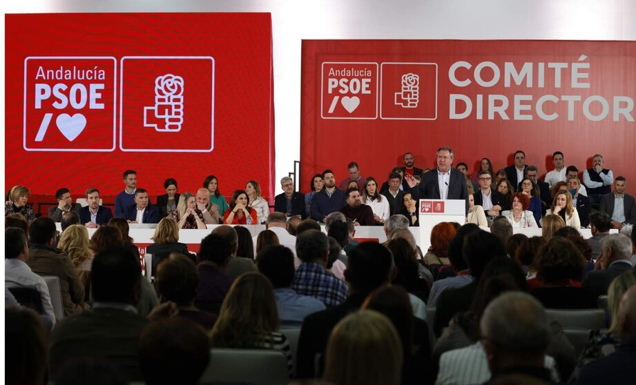  Archivo - El secretario general del PSOE-A, Juan Espadas, interviene en una reunión del Comité Director del PSOE-A. (Foto de archivo). - MARCELO DEL POZO/PSOE-A - Archivo 