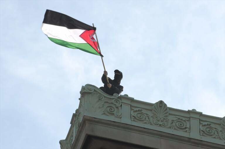 Persona ondeando la bandera de Palestina 