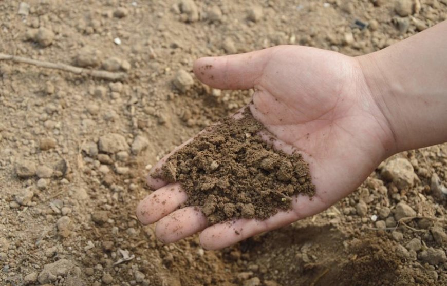  Un estudio sobre la profundidad del suelo en EEUU determina cómo el clima y el uso humano afectan a su erosión 