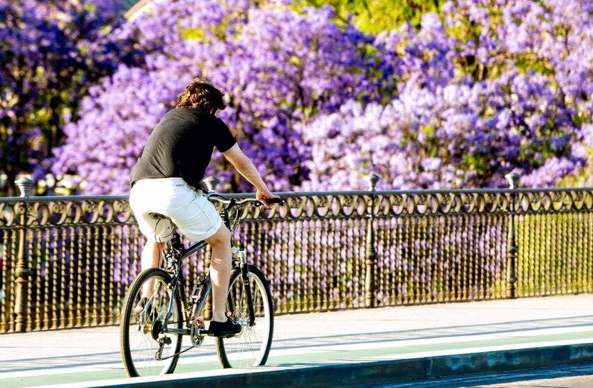  Archivo - Un ciclista por el puente de Triana, en Sevilla (Andalucía, España) - Eduardo Briones - Europa Press - Archivo 