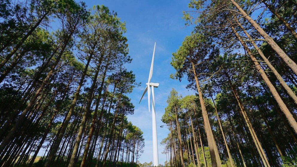  Parque eólico de Iberdrola. - IBERDROLA | EP 