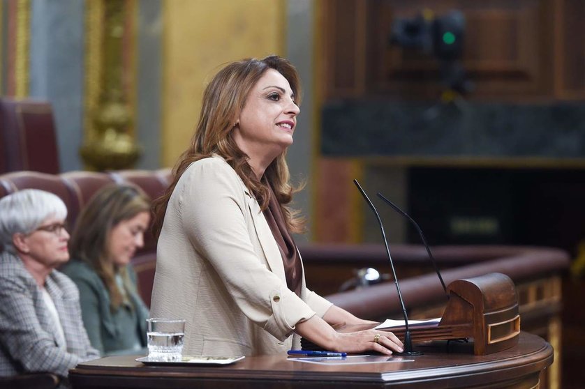  La diputada de Coalición Canaria Cristina Valido | EP 