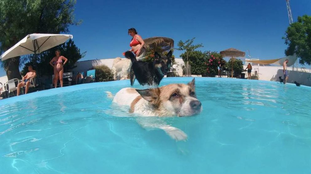  Un día en la piscina de María | Telecinco 