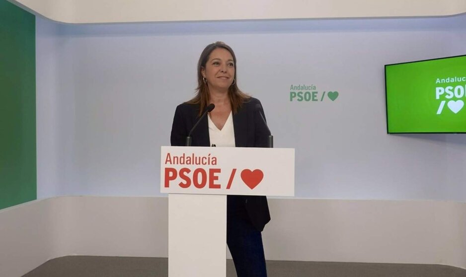  La portavoz adjunta del Grupo Socialista y portavoz del Gobierno alternativo de este partido, Isabel Ambrosio, este lunes en rueda de prensa. - PSOE DE ANDALUCÍA 