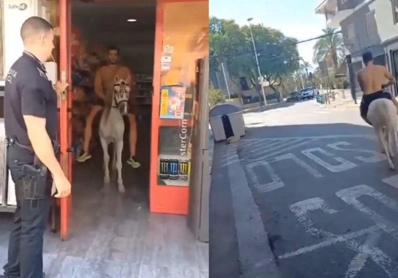  El hombre montado en su caballo 