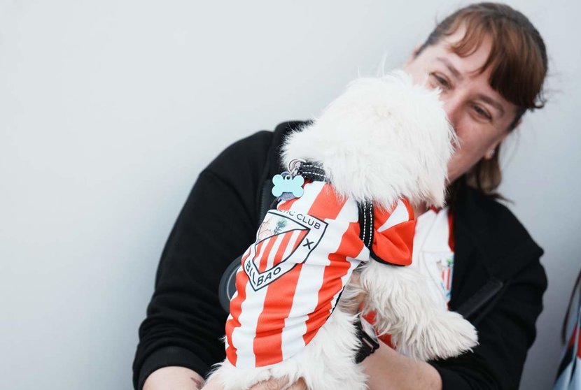  Archivo - Un perro con una camiseta del Athletic Club de Bilbao, a 5 de abril de 2024, en Lezama, Vizcaya, País Vasco (España). - H.Bilbao - Europa Press - Archivo 