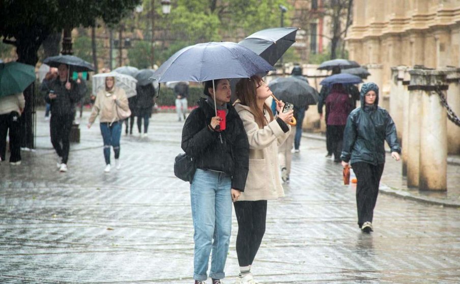  Varias personas se protegen de la lluvia bajo sus paraguas. A 9 de febrero de 2024, en Sevilla (Andalucía, España). La borrasca 'Karlotta' activa avisos por lluvia, viento y oleaje en todas las provincias andaluzas. - María José López - Europa Press 