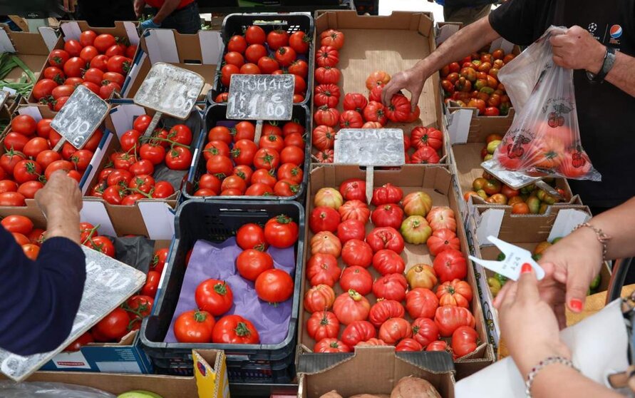  Archivo - Cajas de tomates en un mercado de la Comunidad de Madrid - Marta Fernández Jara - Europa Press - Archivo 