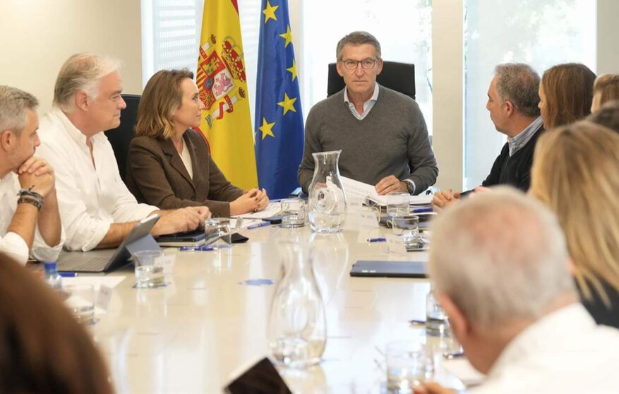  El líder del PP, Alberto Núñez Feijóo, con sus vicesecretarios y portavoces en una reunión del comité de dirección del PP. - PARTIDO POPULAR | EP 