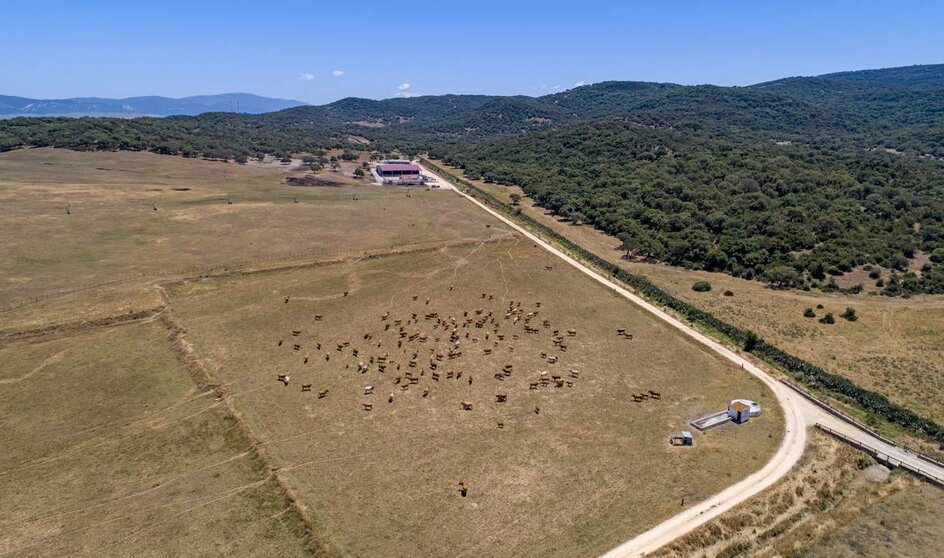  Agricultura ecológica 