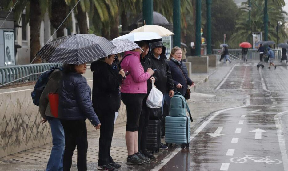  Personas con paraguas por las calles de Málaga, a 29 de octubre de 2024, en Málaga, Andalucía (España). - Álex Zea - Europa Press 