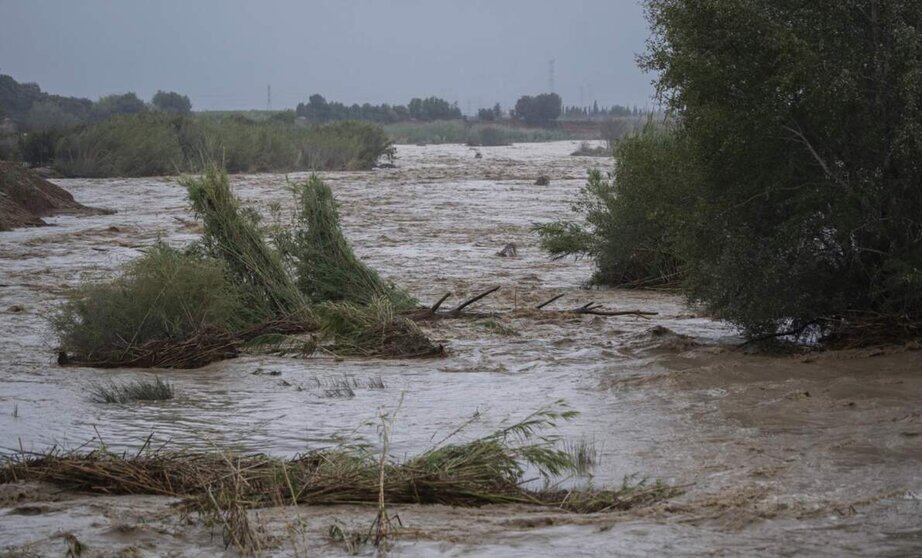  Crecida del río Magre, a 29 de octubre de 2024, en Alfarp, Valencia - Jorge Gil - Europa Press 