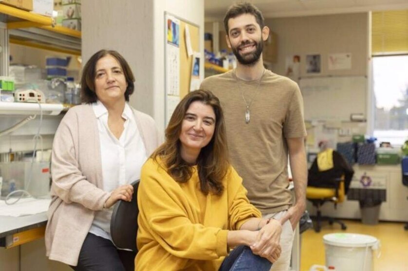  Archivo - De izquierda a derecha: Ana Losada, Ana Cuadrado y Daniel Giménez-Llorente, investigadores del Centro Nacional de Investigadores Oncológicas (CNIO) - LAURA M. LOMBARDÍA / CNIO - Archivo 