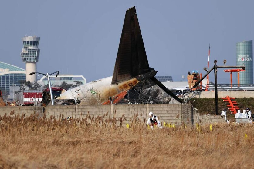  El avión estrellado en Corea del Sur 