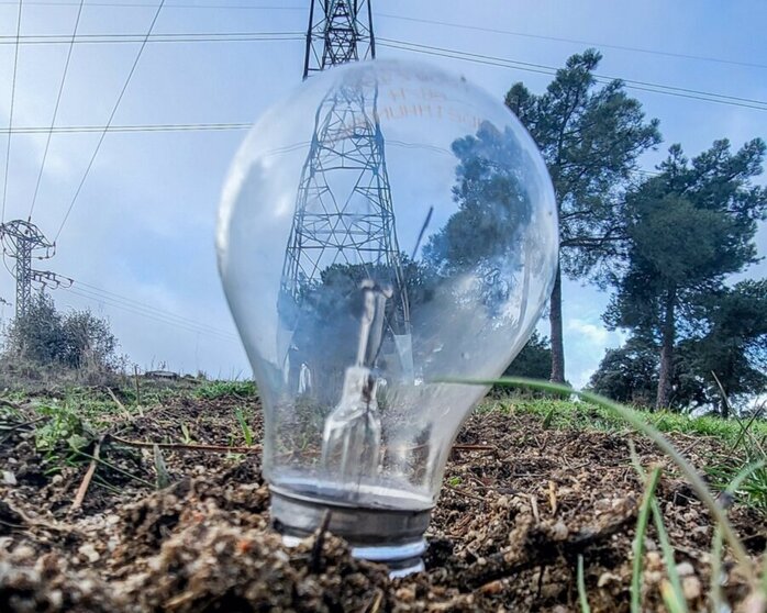  Una bombilla clavada en el césped, a 9 de enero de 2025, en Madrid (España). - Ricardo Rubio - Europa Press 