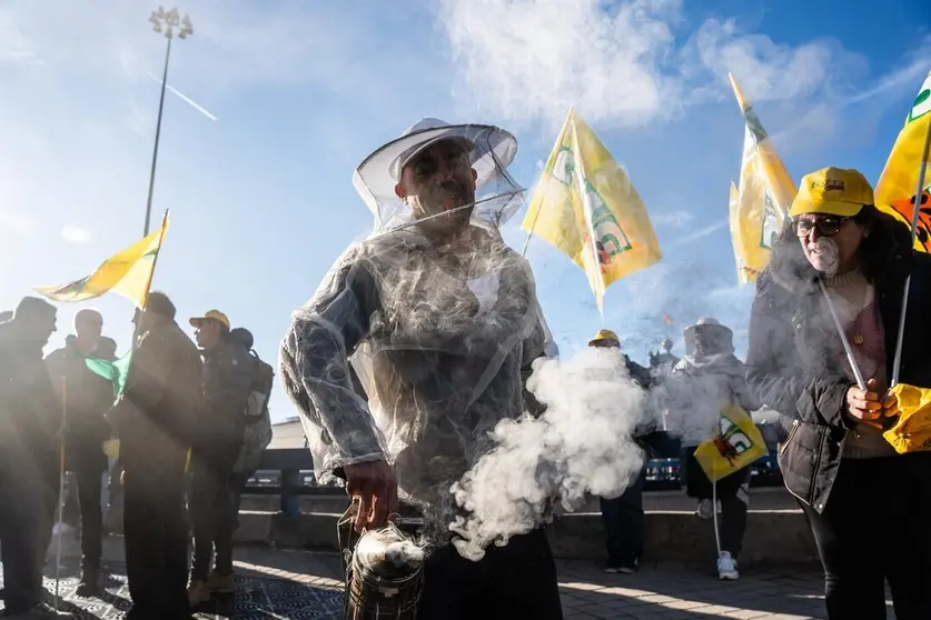  Archivo - Apicultores durante una protesta de agricultores y ganaderos frente al Ministerio de Agricultura, a 16 de diciembre de 2024, en Madrid (España). - Matias Chiofalo - Europa Press - Archivo 