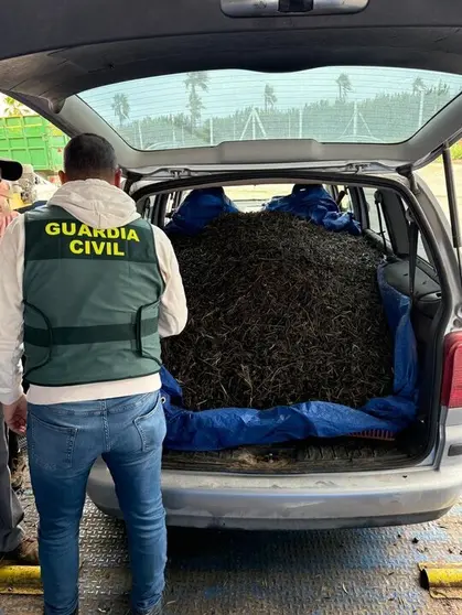  NP Guardia Civil | Aceituna Puente Genil 