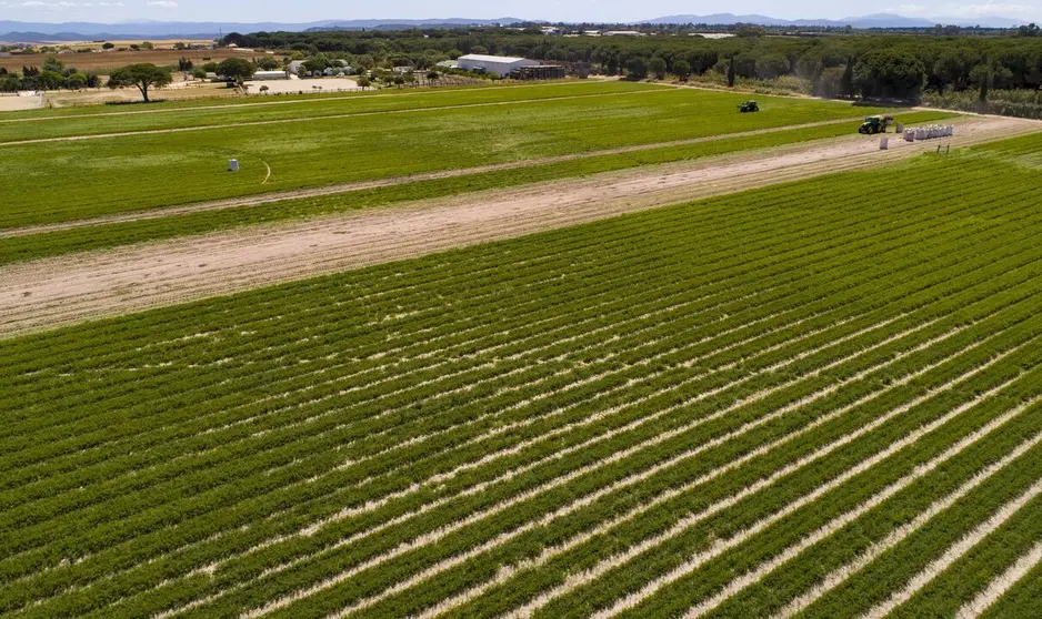  La agricultura ecológica será pieza clave en la nueva agenda agrícola europea 